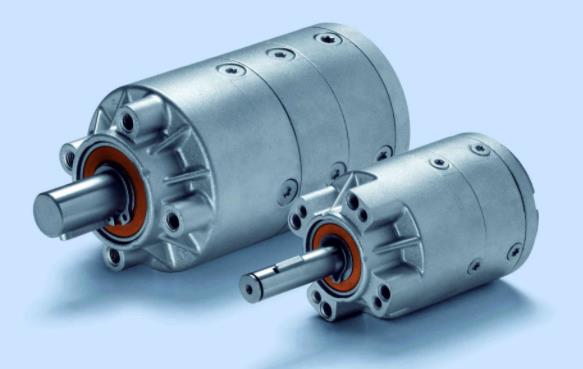 欧式葫芦电机型号，欧式葫芦电机选购指南